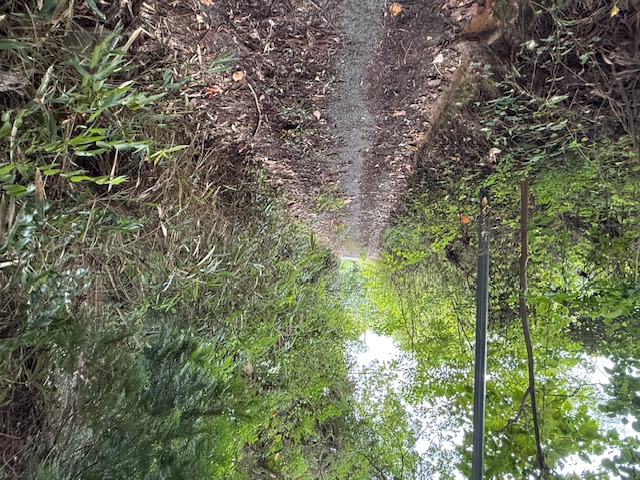 木津川市加茂町高田赤井山300万円の写真